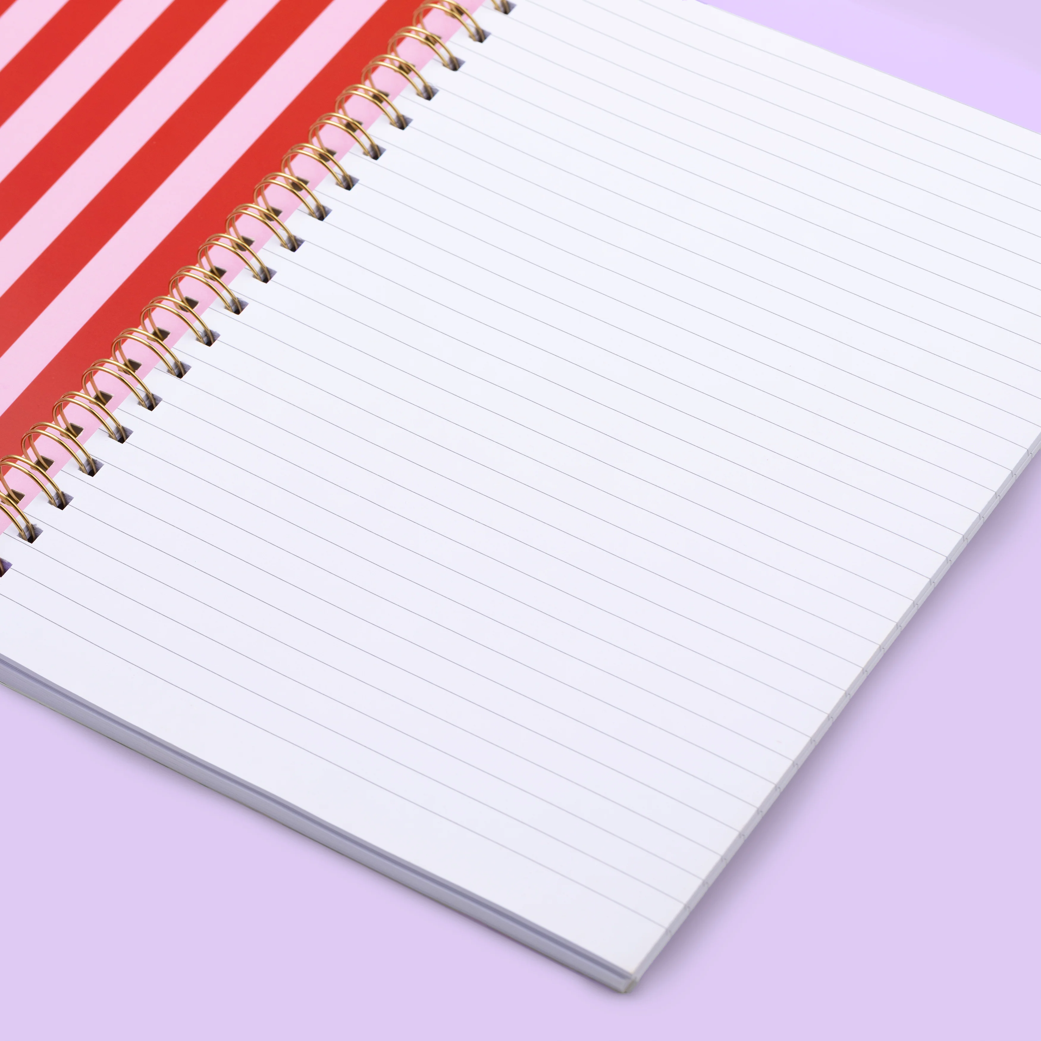 See The Good Zebra Notebook - Image 2